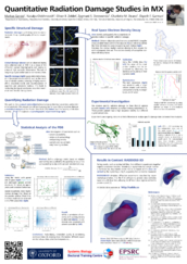 2013-08_ECM28-markus-2013-ecm28poster